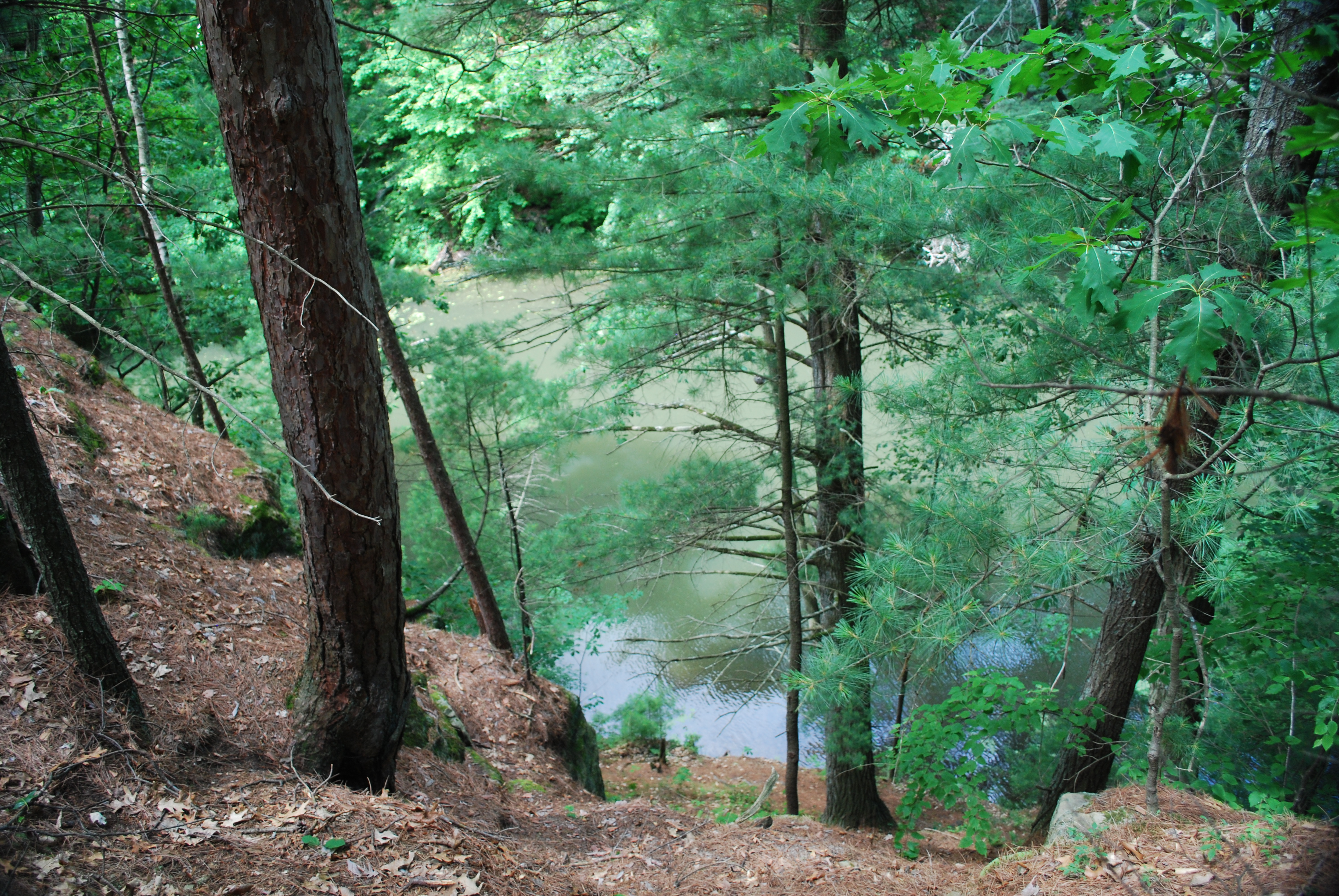 Bluff above Mirror Lake (Photo: Joshua Mayer)