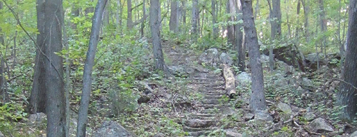 Steps up to North Bluff, Photo Credit = WDNR