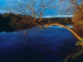 Lake Wazeecha at South Wood County Park