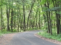Roch-A-Cri State Park